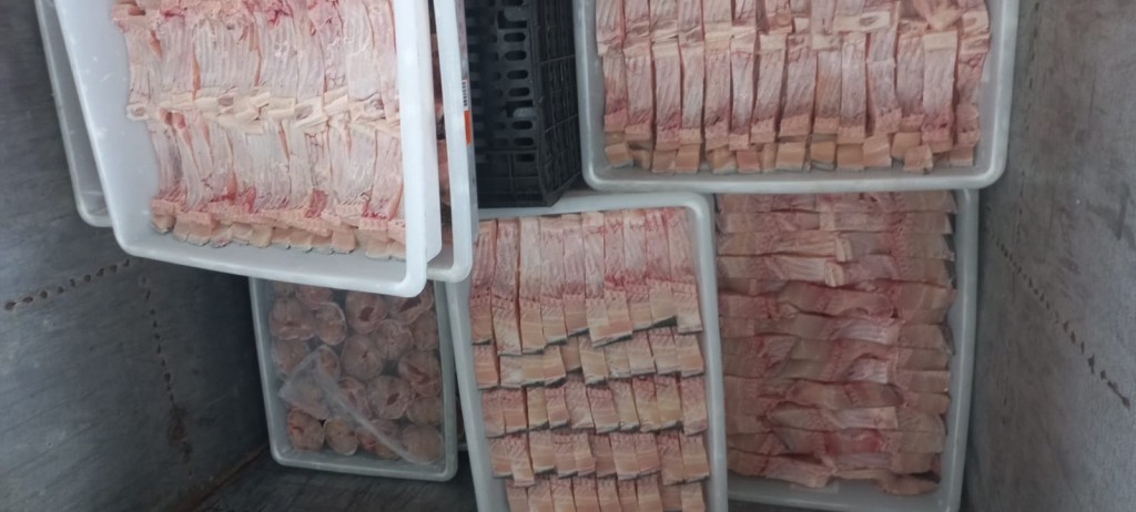 Recibo da venda de peixe deve especificar espécie e quantidade