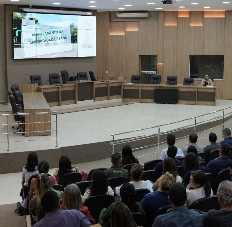 Plano de Arborização Urbana de Sinop é apresentado em Audiência Pública