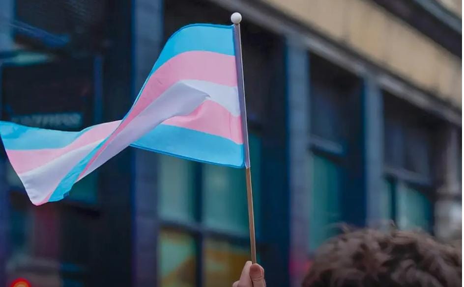 Pessoas trans enfrentam rejeições em busca de vagas formais de emprego