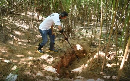 Procedimentos complexos identificam vítimas encontradas em áreas de mata