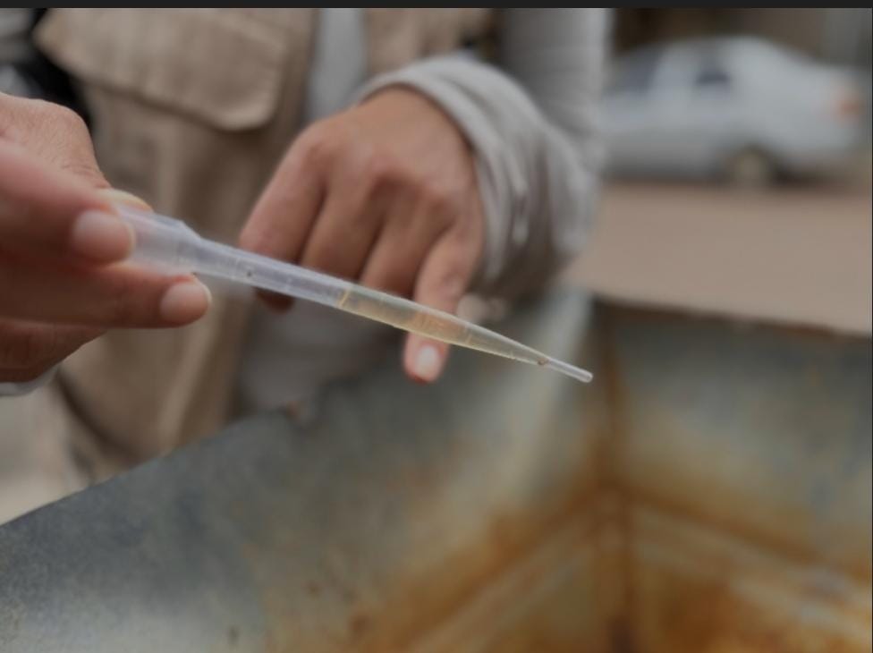 Sinop confirma três óbitos por chikungunya