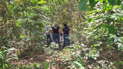 Corpo é encontrado com mãos e pés amarrados em uma área de mata