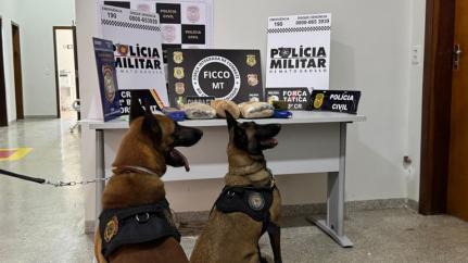 Operação cumpre 7 mandados contra traficantes em Sorriso
