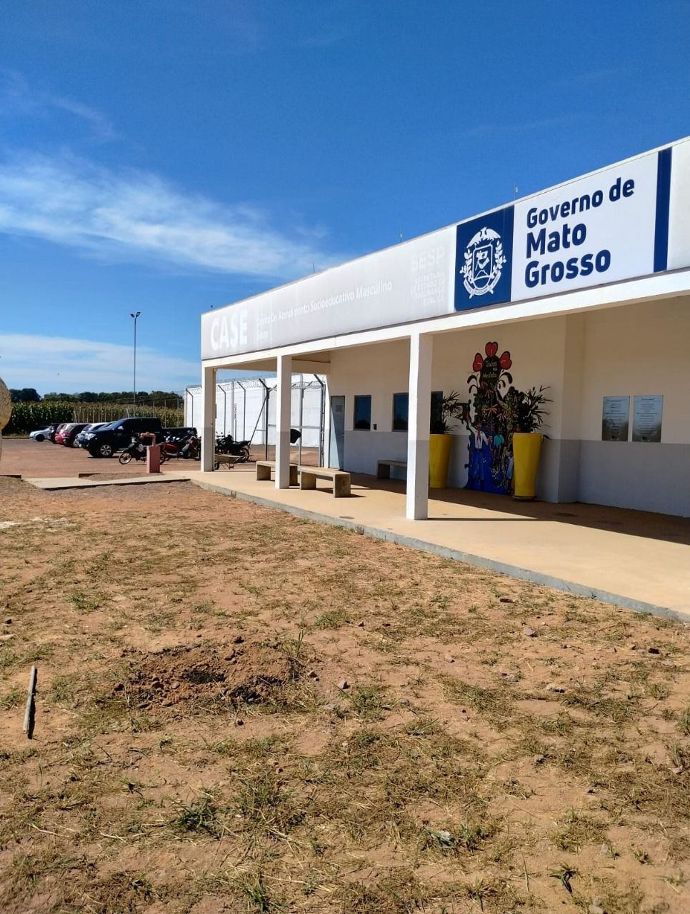 Unesin e Floresta Urbana Promovem amanhã dia 5 de junho Plantio de mudas de árvores no CASE 
