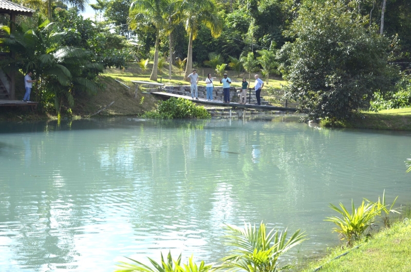 Em Sinop, o campo também é destino. Agricultura Familiar impulsiona o turismo e a renda