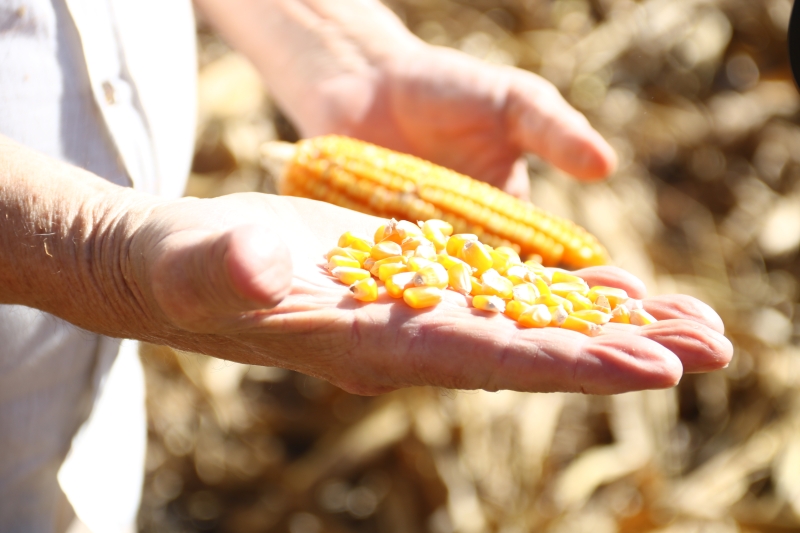Prefeito parabeniza produtores pelo Dia do Agricultor e destaca importância do setor para o município