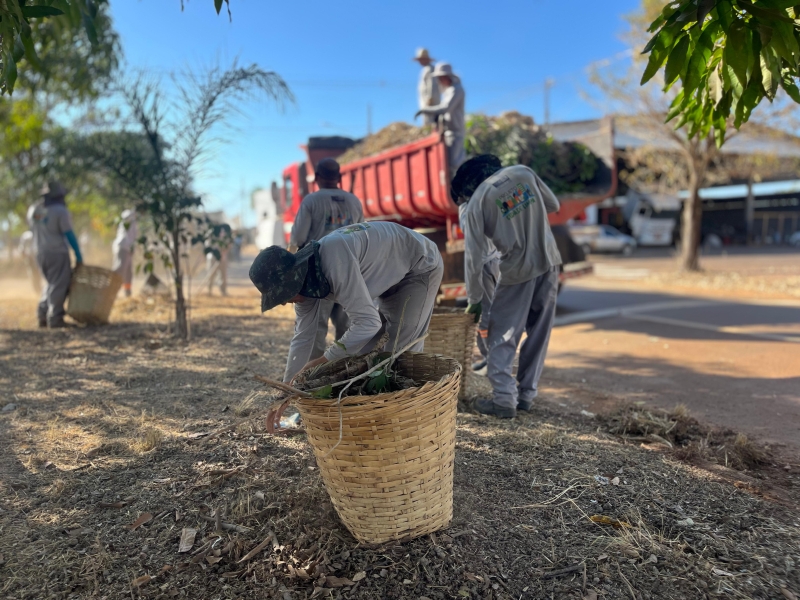 Obras realiza limpeza urbana de canteiro central e poda de árvores em 5 pontos; veja