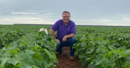 Está todo mundo pagando uma conta sem dever, diz Maggi sobre tarifaço