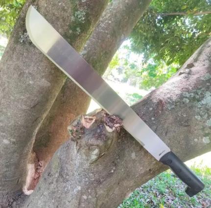 Sogra tenta matar nora com golpe de facão durante briga