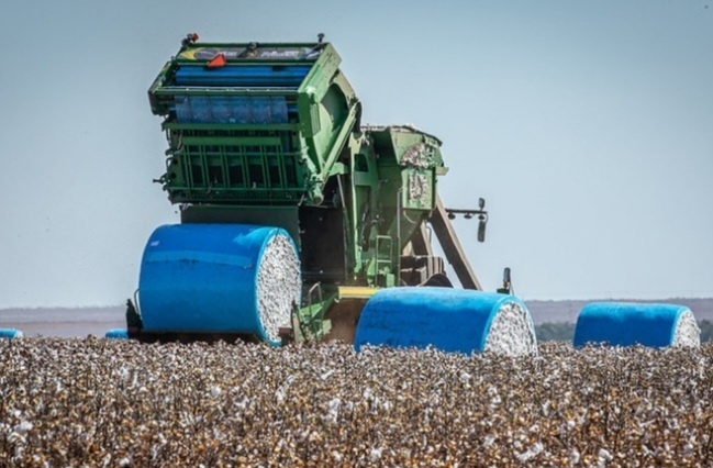 Indústria de tecelagem se impressiona com pujança de Sinop e estuda viabilidade de implantação na cidade