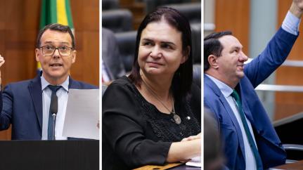 Petistas de MT celebram enterro de PEC da Blindagem: vitória do povo