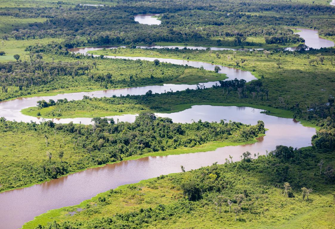 Sesc Pantanal abre votação popular para a escolha dos nomes de três onças-pintadas