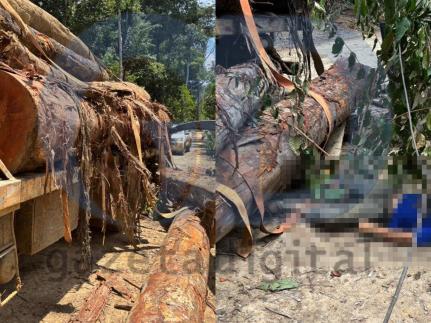 Tora de madeira cai de caminhão e mata trabalhador de 22 anos