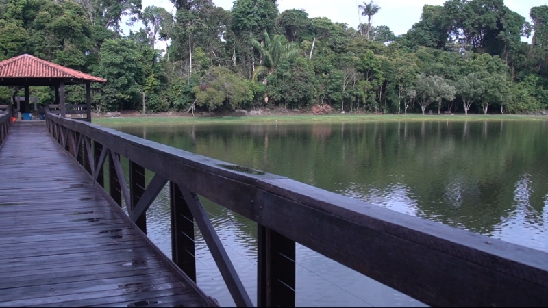 Prefeitura anuncia reabertura do Parque Florestal e novo formato de funcionamento em coletiva de imprensa