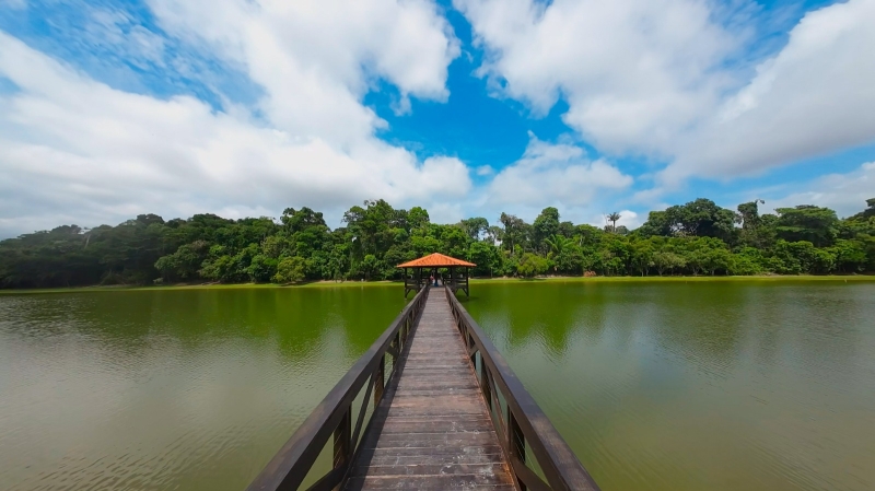 #ConheçaSinop: Parque Florestal é o refúgio verde que conecta a cidade à biodiversidade amazônica