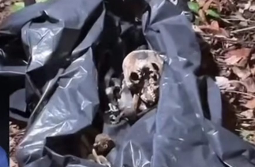 Ossada  é localizada em Sinop e polícia investiga se corpo é de empresária desaparecida há  mais de 2 anos