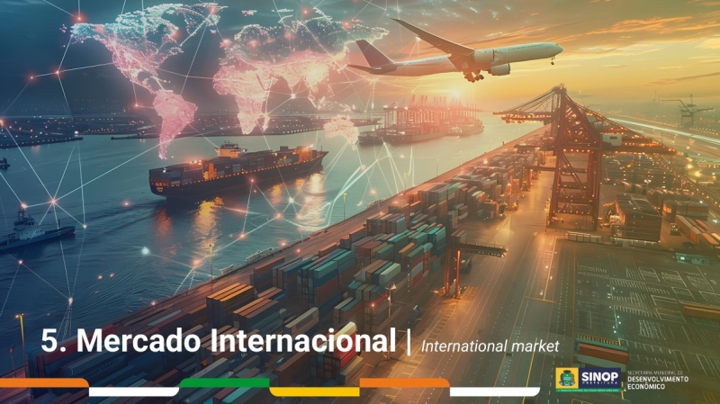 Sinop se destaca internacionalmente como maior exportador de sementes para plantio e farelos