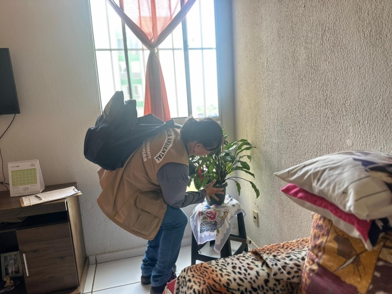 Prefeitura de Sinop alerta: 80% dos focos do mosquito da dengue estão dentro das residências