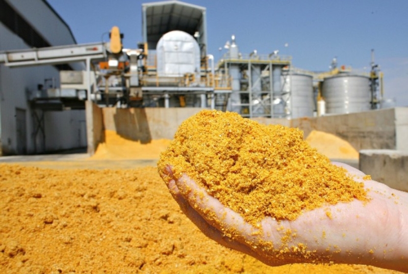 Sinop registra crescimento superior a 52% na exportação de produtos produzidos no município