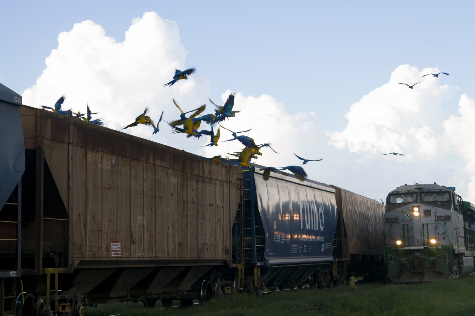 Workshop em Mato Grosso reúne autoridades e especialistas para discutir aplicações práticas da legislação em projetos de infraestrutura
