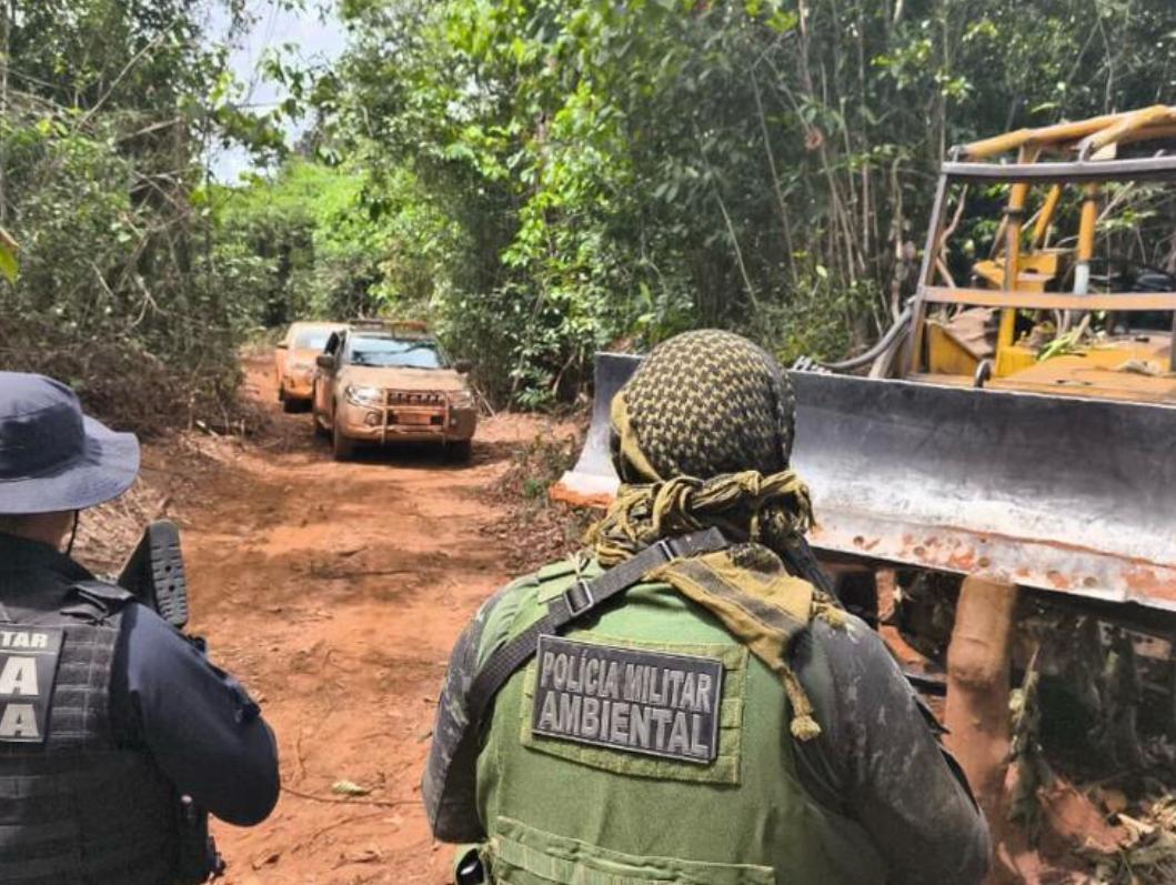 Batalhão Ambiental aplica multa em mais de R$ 1 milhão por exploração irregular de madeira