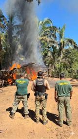 PF e Ibama realizam fiscalização em área de Reserva Legal da União em MT