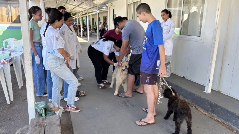 Prefeitura de Sinop já imunizou mais de 8,2 mil animais contra a raiva