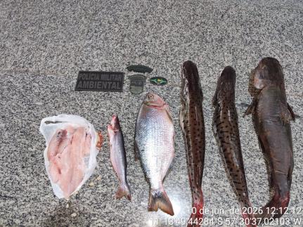 Polícia Ambiental flagra pesca irregular e apreende vários peixes; suspeitos fugiram