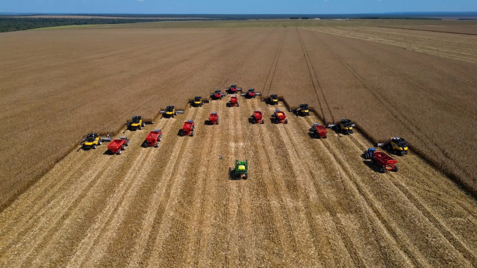 Quando quem planta também transforma: da cooperativa à indústria