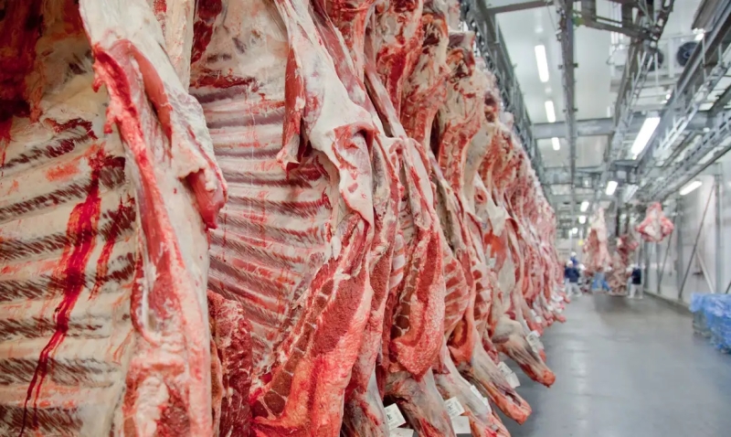 Exportações de carne bovina de Sinop superam todo o ano de 2025 e crescem 27,75% em 2026