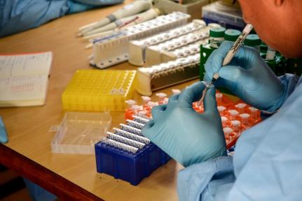 MT registra 13 óbitos e 254 novas infecções em 24 horas