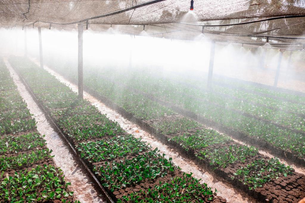 Nova regra de tributação para importação de insumos agrícolas entra em vigor em 2022