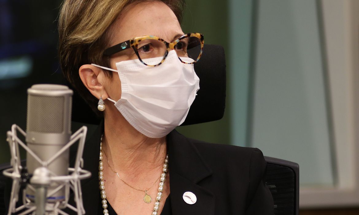 Safra de grãos 2021/2022 tem expectativa recorde, diz ministra