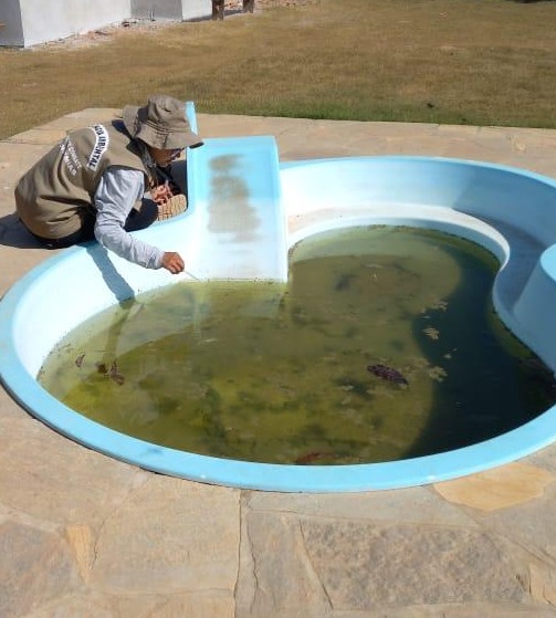 Índice de infestação do mosquito cai na estiagem, mas Saúde mantém alerta