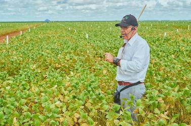 Municípios de Sorriso e Campo Verde serão sede do Open SKY Soja 2021