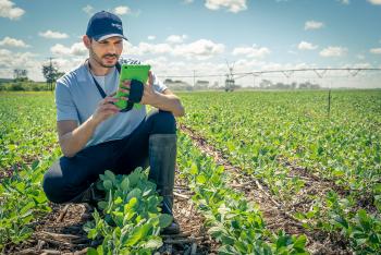 Solução digital Cropwise Protector facilita tomada de decisão e otimiza produção no campo