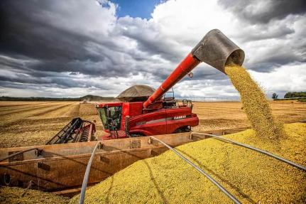 Produção de soja terá queda de mais de 10% devido à seca