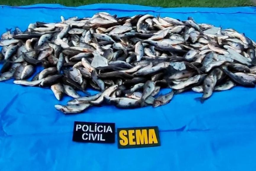 Sema apreende 220 quilos de peixes em operação contra pesca ilegal em Guarantã do Norte